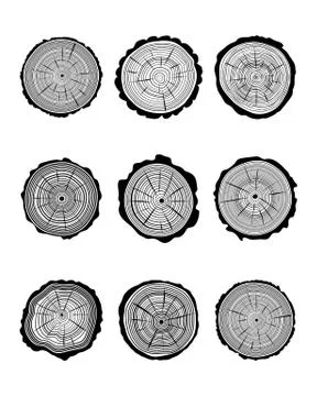 Cross section of trunks Stock Illustration