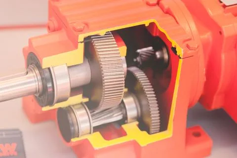 Cross-section of the vertical cylindrical gear Stock Photos