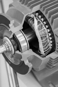 Cross-section of the vertical cylindrical gear Stock Photos