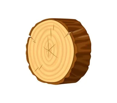 Cross section wood log slice with tree rings Stock Illustration
