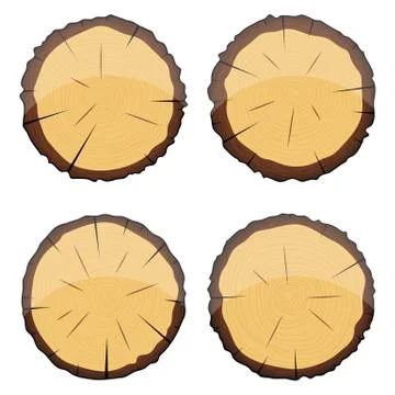 Cross section of wooden tree vector design illustration isolated on white backgr Illustrazione stock