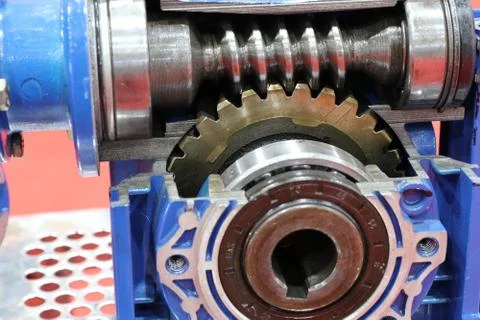 Cross section of worm gear pump ; Stock Photos