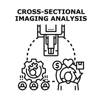 Cross sectional imaging analysis process and data evaluation Stock Illustration