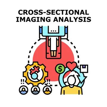 Cross sectional imaging analysis process and data evaluation Stock Illustration