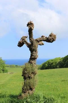 Cross shaft Foto stock