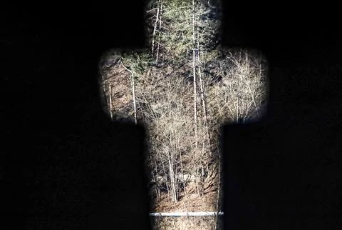 Cross-shaped view of a bare winter forest with evergreen trees and snow on .. 写真素材