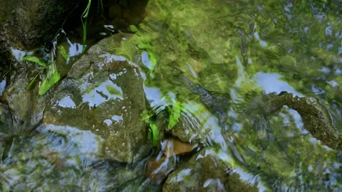 Cross the small mountain river on a mountain bike. The bike rides on the water Stock Footage 136362484