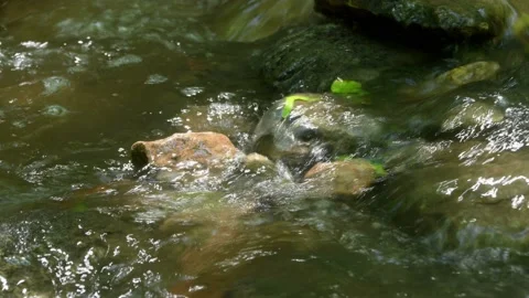 Cross the small mountain river on a mountain bike. The bike rides on the water Stock Footage 136362645