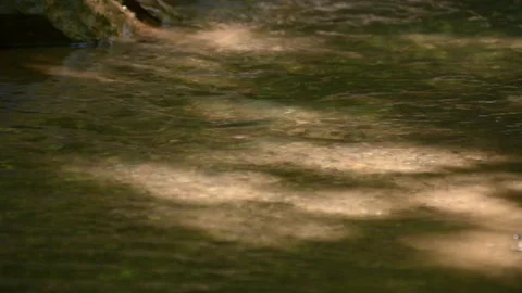 Cross the small mountain river on a mountain bike. The bike rides on the water Видео 136362652