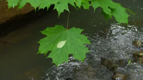 Cross the small mountain river on a mountain bike. The bike rides on the water Stock Footage 136362871