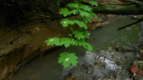 Cross the small mountain river on a mountain bike. The bike rides on the water Stock Footage 136362930