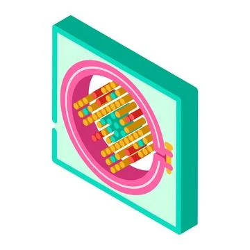 Cross stitch pattern embroidery hobby isometric icon vector illustration Stock Illustration