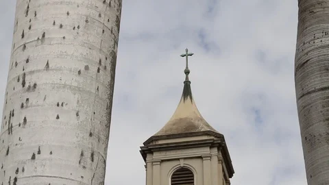 Cross through Palms Stock Footage 93592898