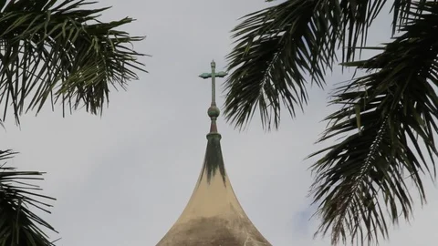 Cross through Palms Stock Footage 93593000