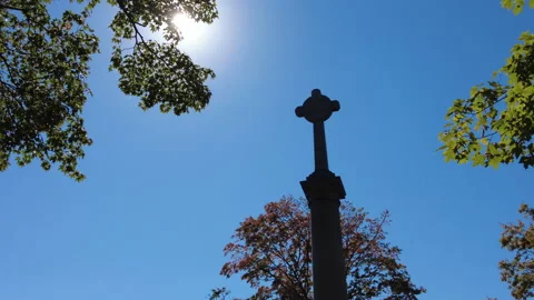 CROSS TREE LENS FLARE Stock Footage 190035517