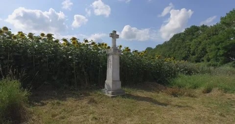 The cross visited the fields Stock Footage 136954438