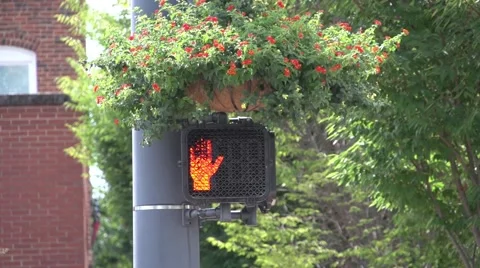 Cross Walk Stock Footage 41667402