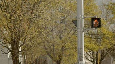 Cross Walk Light Full Cycle In Spring Stock Footage 108243215
