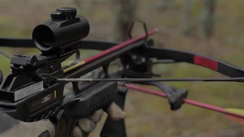 crossbow-striung-stock-footage-royalty-free-stock-videos-pond5