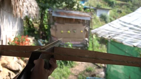 Crossbow is shooting at fruit. The hand that is using the crossbow. Stock Footage 123603213
