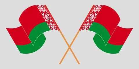 Crossed and waving flags of Belarus Illustrazione stock