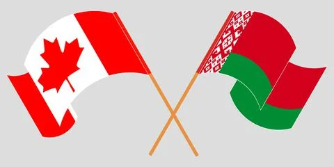 Crossed and waving flags of Belarus and Canada Stock Illustration