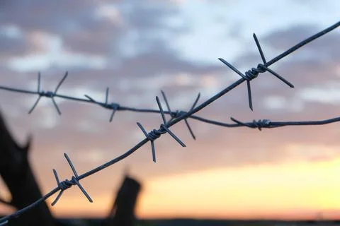 Crossed barbed wire Stock Photos