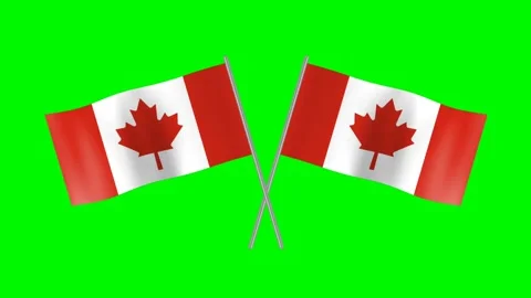 Crossed canada flag Stock Footage 198030174
