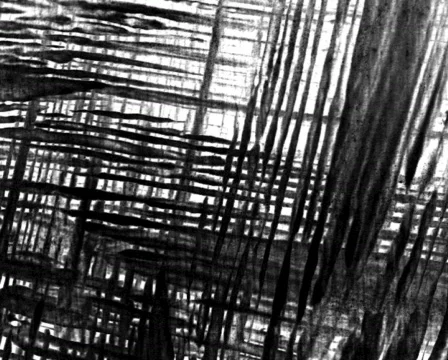 Crossed Lines 스톡 동영상 103372