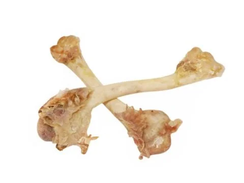 Crossed picked bones. Stock Photos