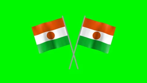 Crossed republic of the Niger flag Stock Footage 197559444