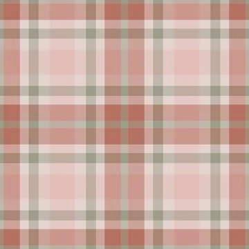 Crossed seamless pattern fabric, serene tartan background check. Mesh plaid.. Stock Illustration