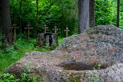Crosses of graves in the forest Stock Photos