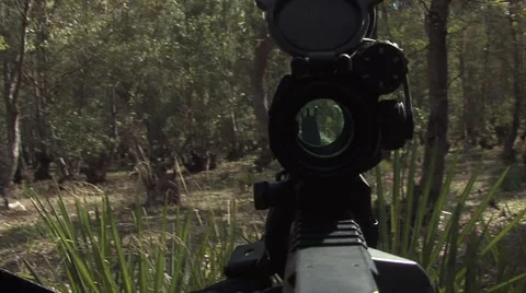Crosshairs of a rifle Stock Footage 46379386
