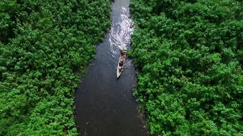 Crossing the amazon river in native boat crossing the jungle Stock-Footage 232635356