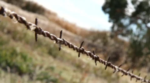 Crossing the border Video stock 850173