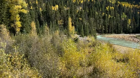Crossing a bridge on the Durango and Silverton Stock Footage 121896479