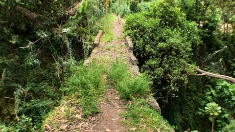 CROSSING THE BRIDGE Stock Footage 101829286