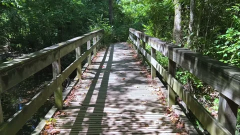 Crossing Bridge Stock Footage 205611895