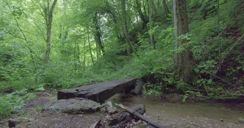 Crossing the brook in a forest over the wooden trunks. Stock Footage 75700407