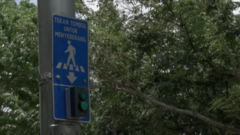 Crossing call button of street's traffic light for pedestrian Stock Footage 139380609