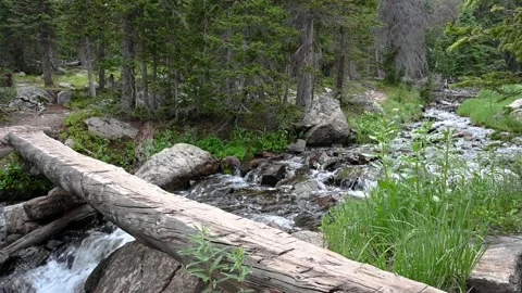 Crossing a Fast Moving Stream via Log Bridge Stock Footage 148435451