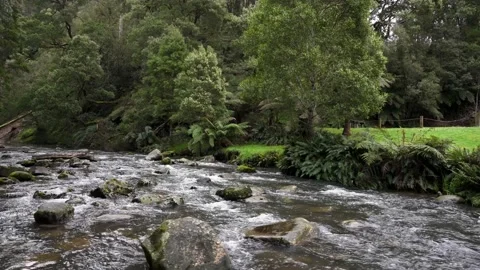 Crossing Stock Footage 217109425
