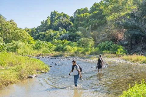 Crossing Forest Stream Stock Photos