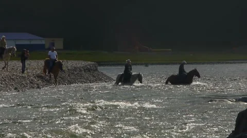 Crossing on horses through mountan the river Video stock 8497331