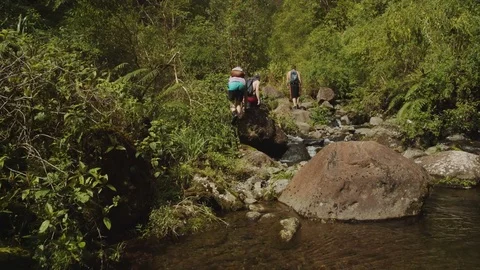 Crossing A Jungle River Stock Footage 75251959