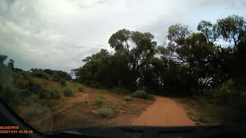 Crossing Kangaroo Clips Windshield, Lake Cullulleraine, Victoria, Australia - 21 스톡 동영상 205323521