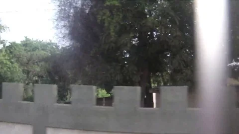 Crossing the lake in the way with traffic Vídeo Stock 74424853