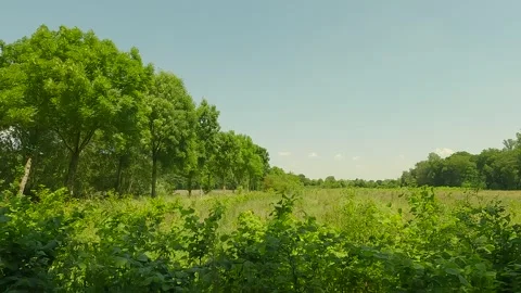 Crossing a lane from field to field. Stock Footage 244587678