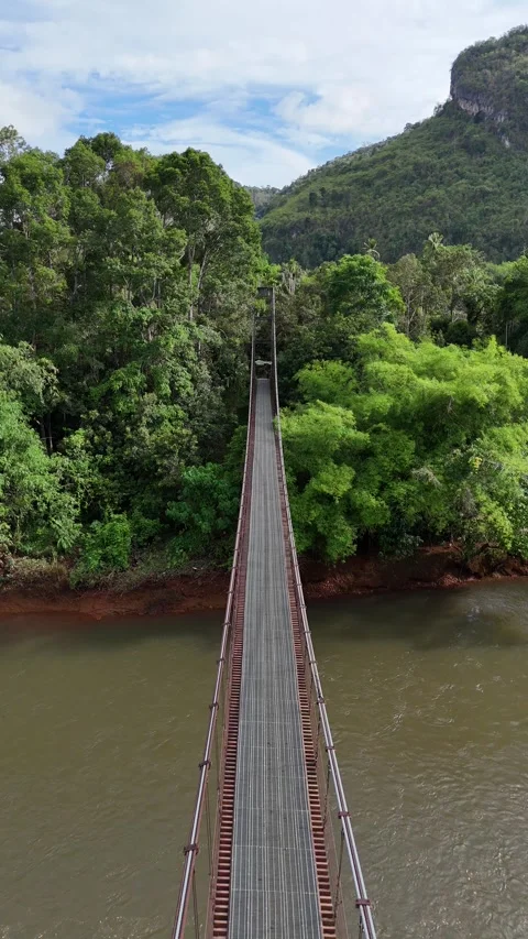 Crossing a Long Suspension Bridge Over a Jungle River in Khao Sok, Thailand Stock Footage 335962894